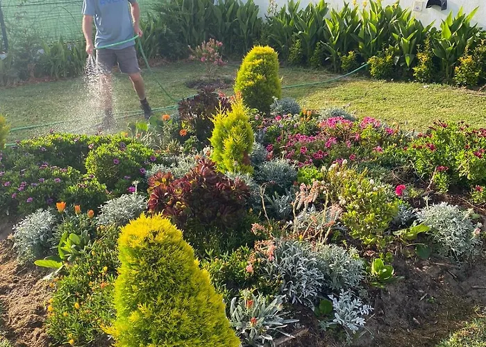 Casa de hóspedes Serenity