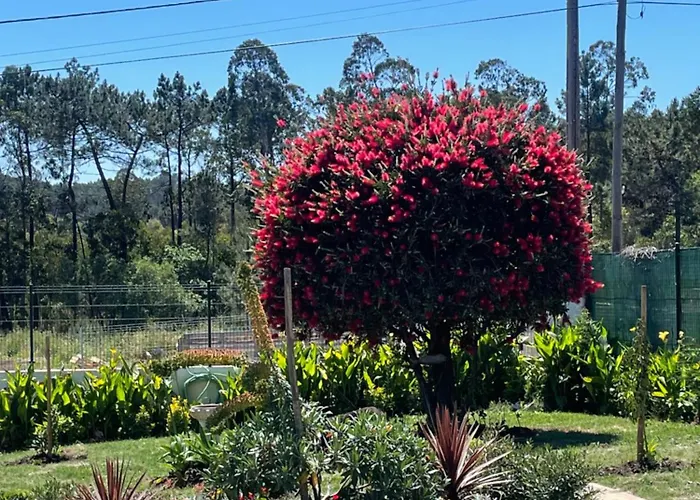 Serenity Casa de hóspedes 4*